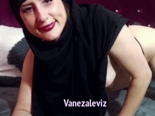 Vanezaleviz