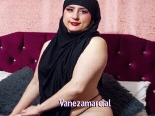 Vanezamarcial