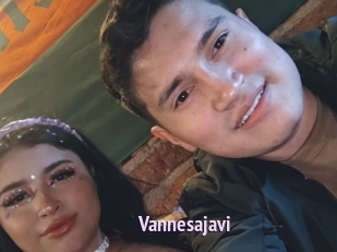 Vannesajavi