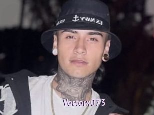 Vectorx073