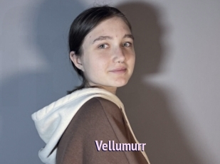 Vellumurr