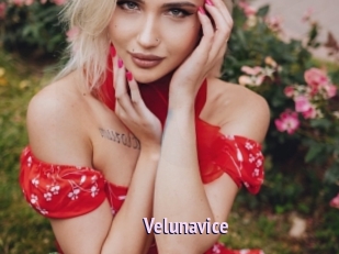 Velunavice