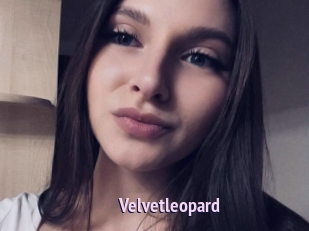 Velvetleopard