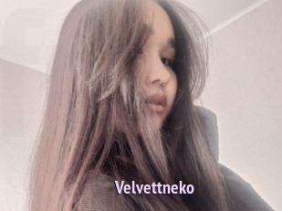 Velvettneko