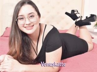 Venuskatte