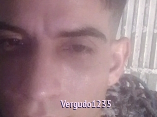 Vergudo1235
