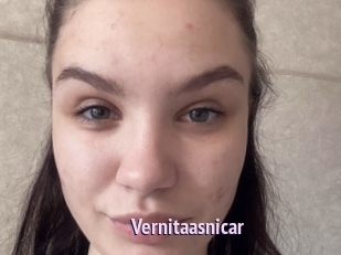 Vernitaasnicar