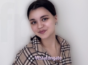 Vestatongate