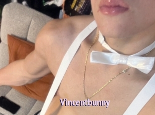 Vincentbunny