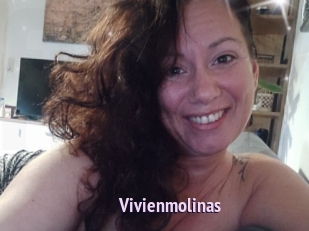 Vivienmolinas