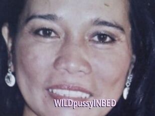 WILDpussyINBED