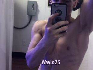Waylo23