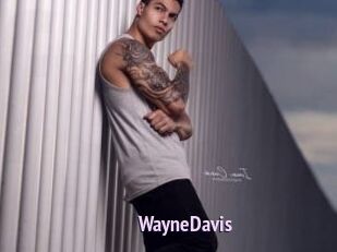 WayneDavis