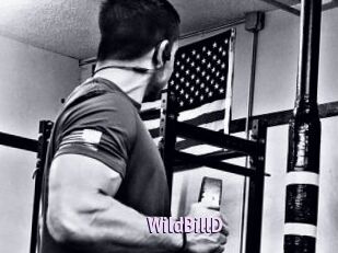 WildBillD