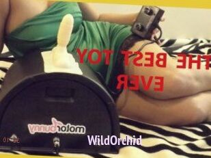 WildOrchid_