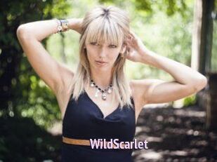 WildScarlet