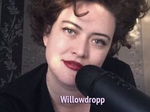 Willowdropp