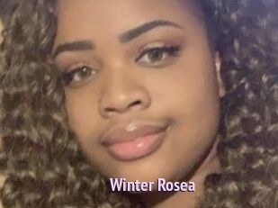 Winter_Rosea