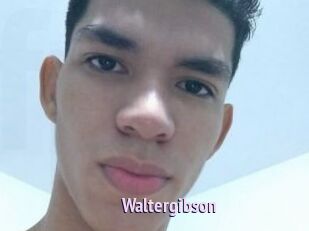 Waltergibson