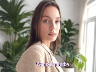 Wandaenderby