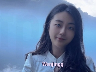 Wenjingg