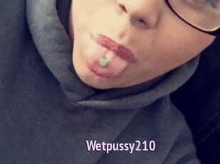Wetpussy210