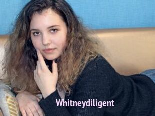 whitneydiligent Film Porno