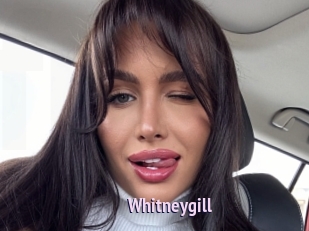Whitneygill