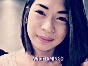 WildFLAMINGO