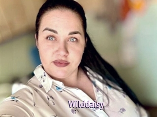 Wilddaisy