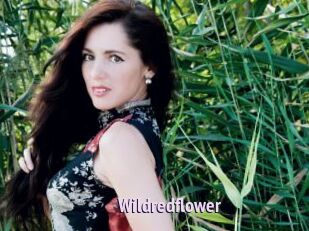 Wildredflower