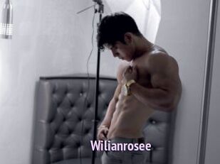 Wilianrosee