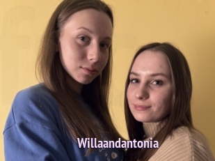 Willaandantonia