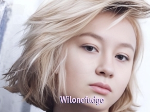 Wilonefudge