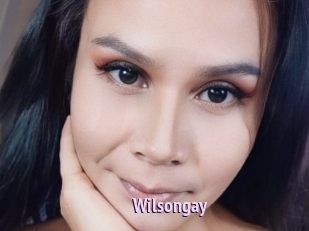 Wilsongay