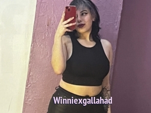 Winniexgallahad