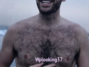Wplooking37