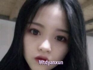 Wtdyanxun