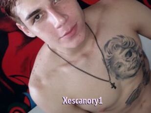 Xescanory1