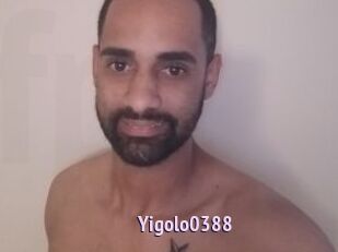 Yigolo0388