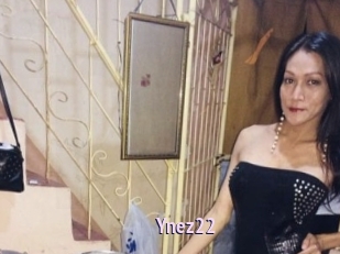 Ynez22