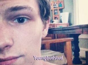 Youngbudstud