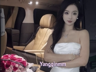 Yangqinmm