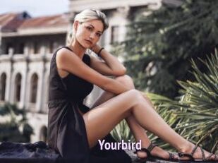 Yourbird