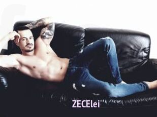 ZECElei