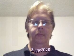 Ziggy2020