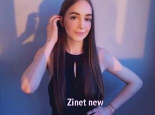Zinet_new