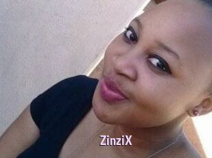 ZinziX