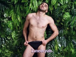 Zanedeyum