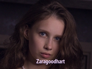 Zaragoodhart